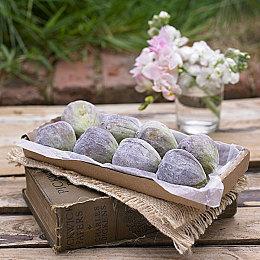 联动激浪 《光环3》经典地图回归《光环：无限》